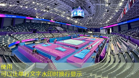 乒乓球台上支架