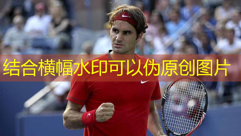 乒乓球台上支架