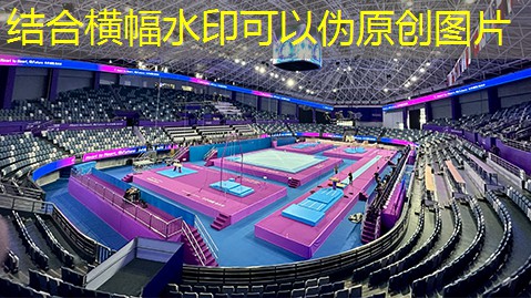 踏上健康之路：塑胶跑道材料分类攻略！