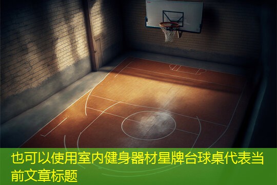 室内健身器材星牌台球桌