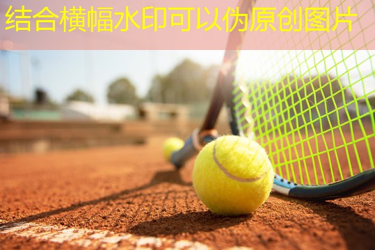 室内墙上折叠能健身器材