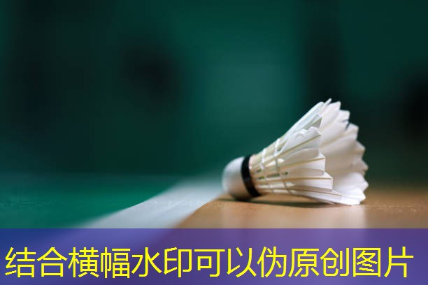 我的世界建造乒乓球台