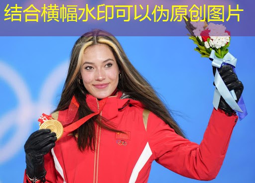 力量训练包括哪些无器材