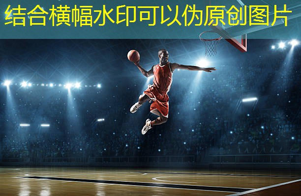 武穴室内健身器材