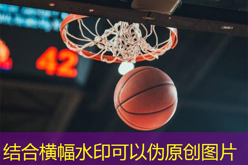 揭秘塑胶跑道材料的诸多类型