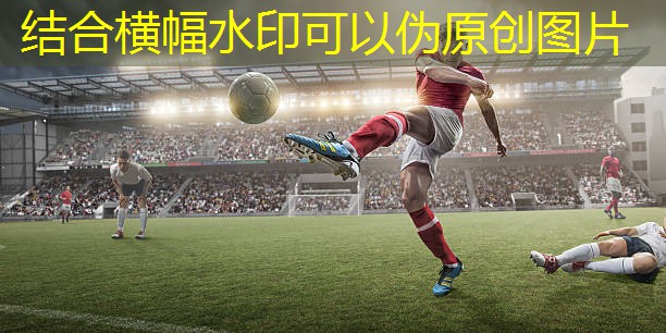 乒乓球台高度是多少多少