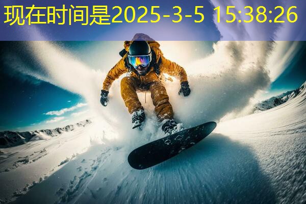 乒乓球台防水套衣