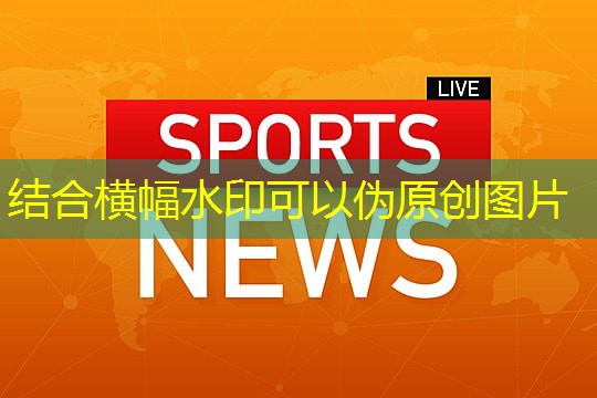 标准全套健美器材