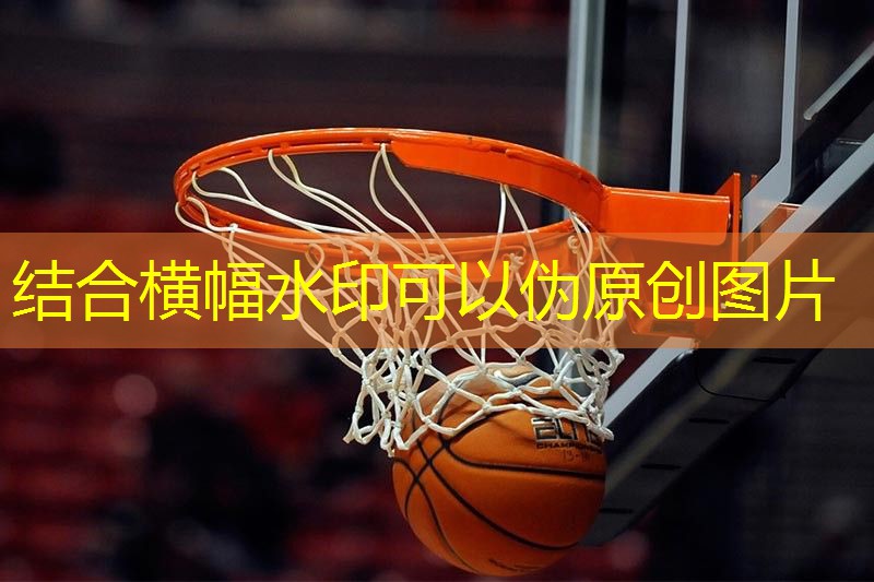 硅pu篮球场室外