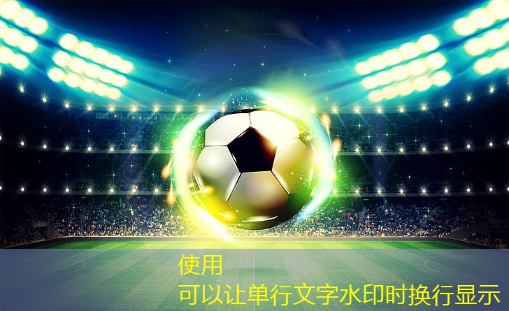 简单健身器材