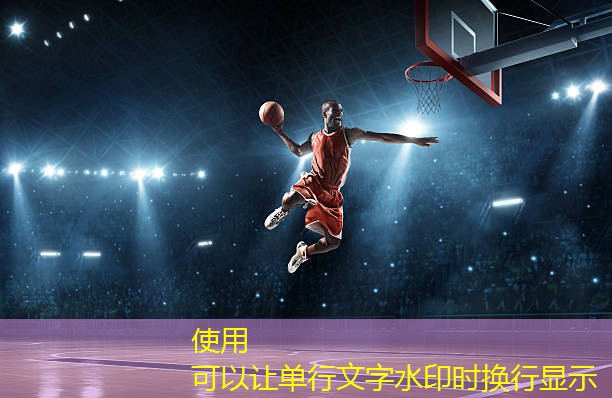小篮球体适能器材