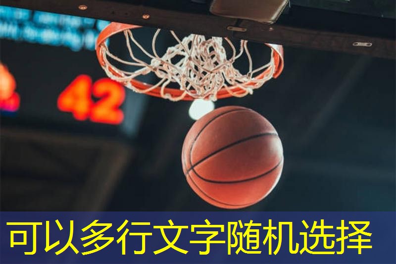 乒乓球台品悼